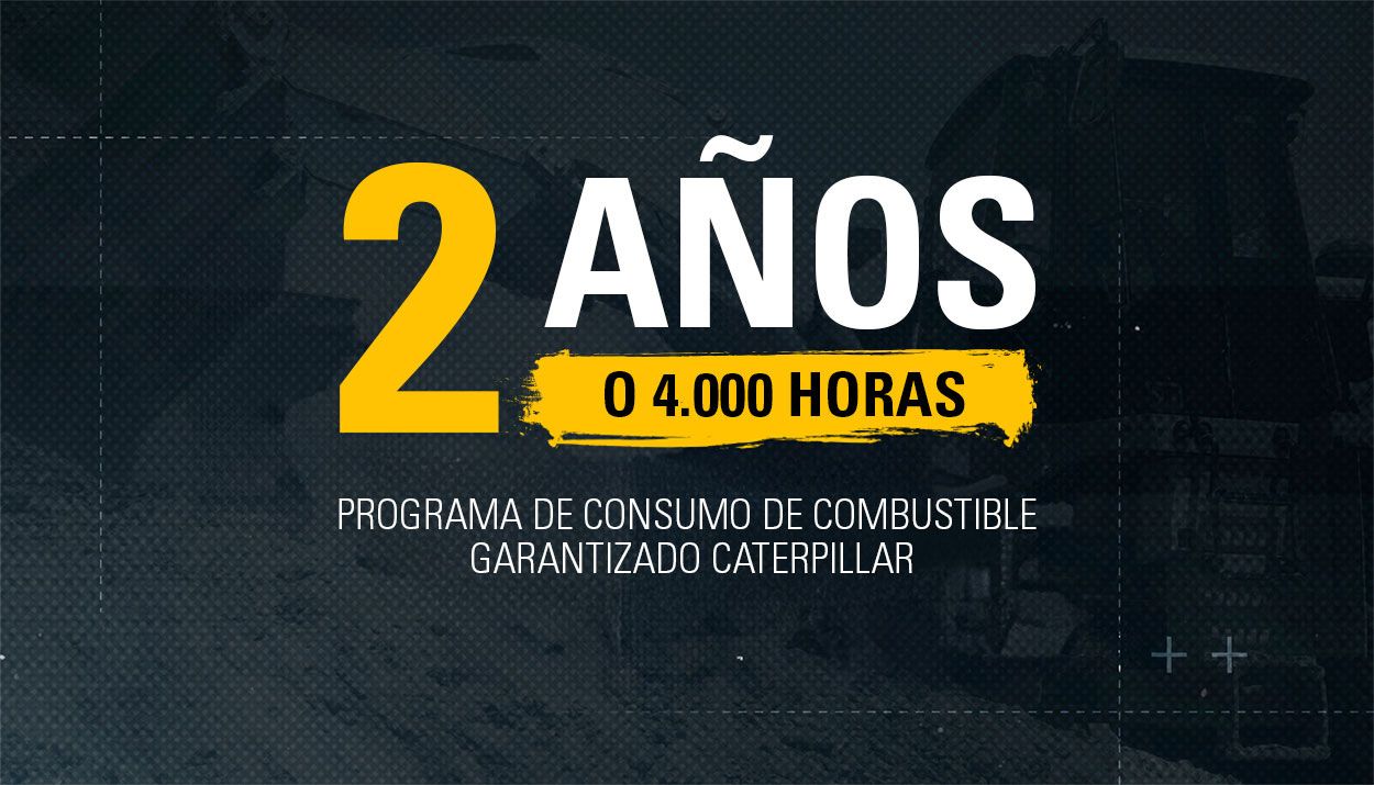 Programa combustible