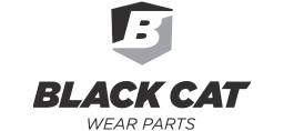 Black Cat
