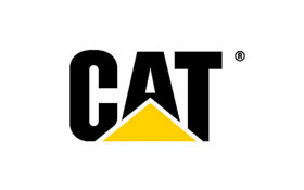 Caterpillar