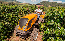 LÍNEA FRUTERA
